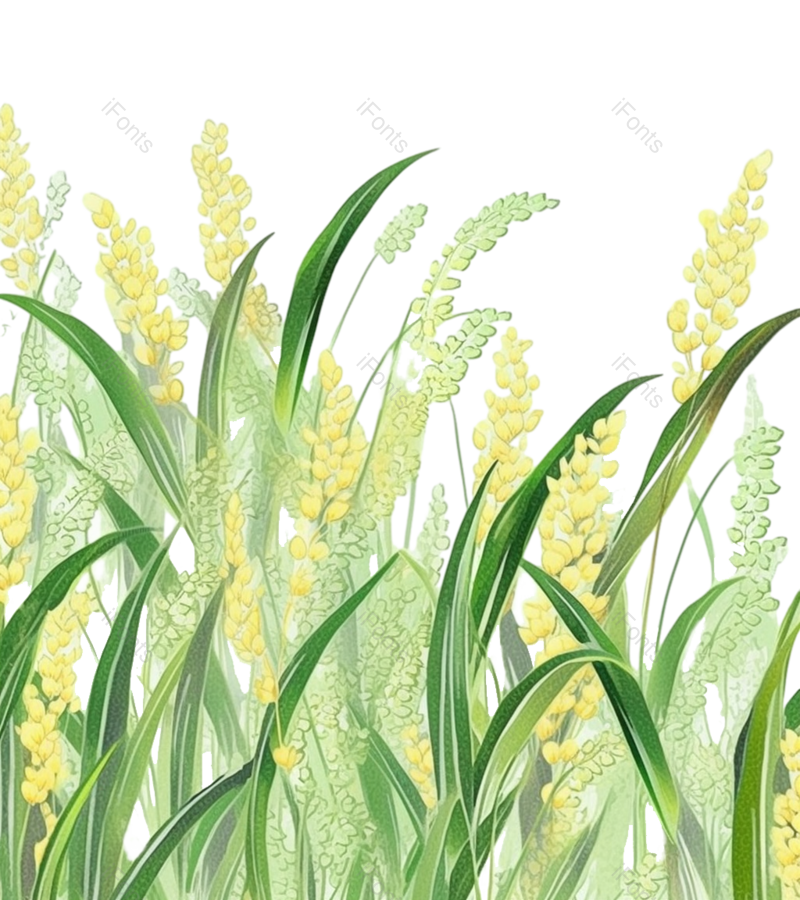 叶子图片,装饰元素,芒种PNG,小满免抠素材
